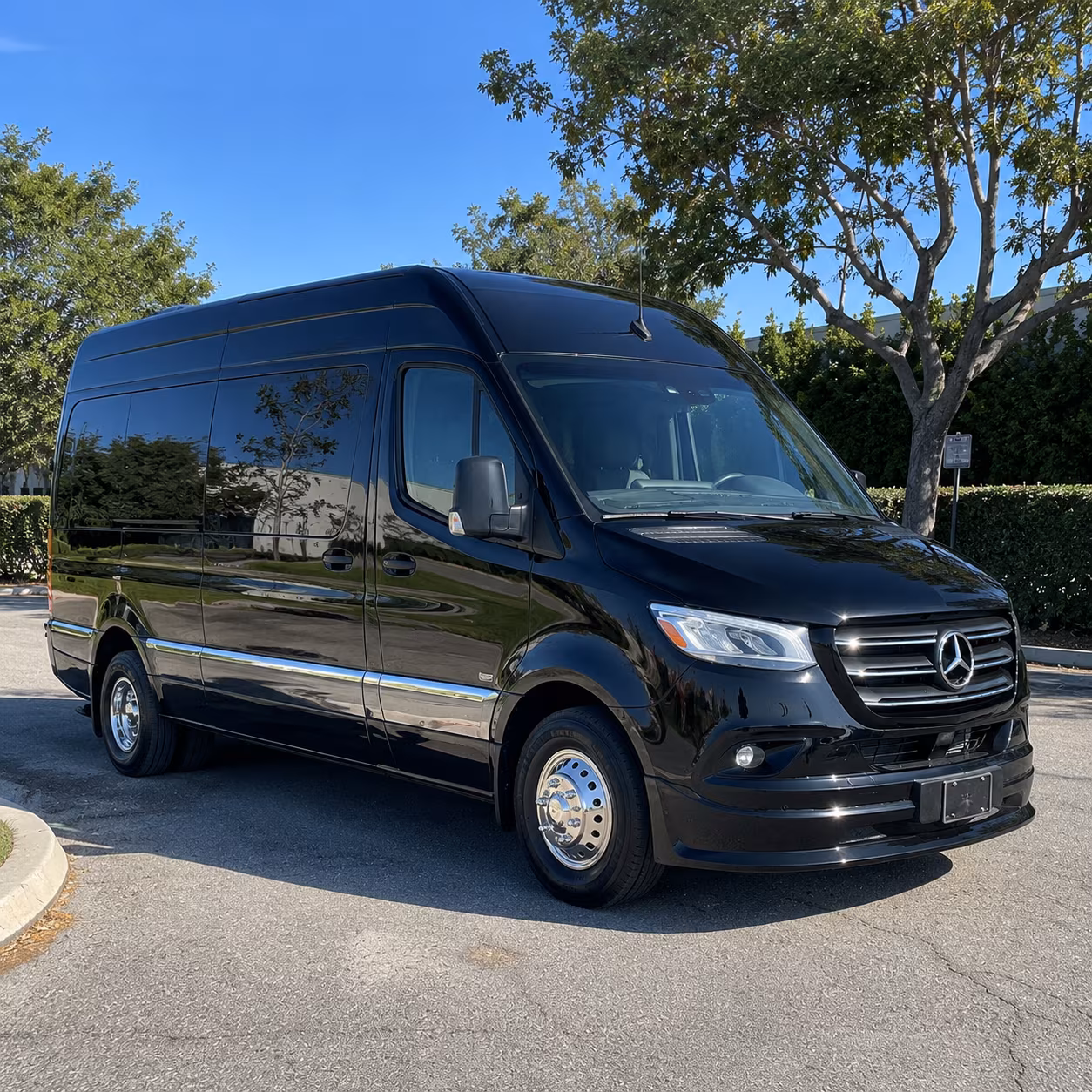 clemson sprinter limousine